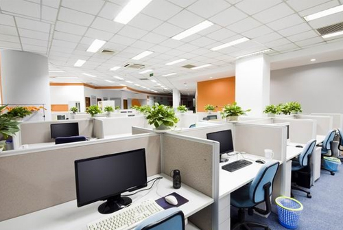 Company environment