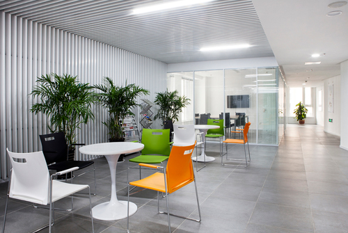 Company environment